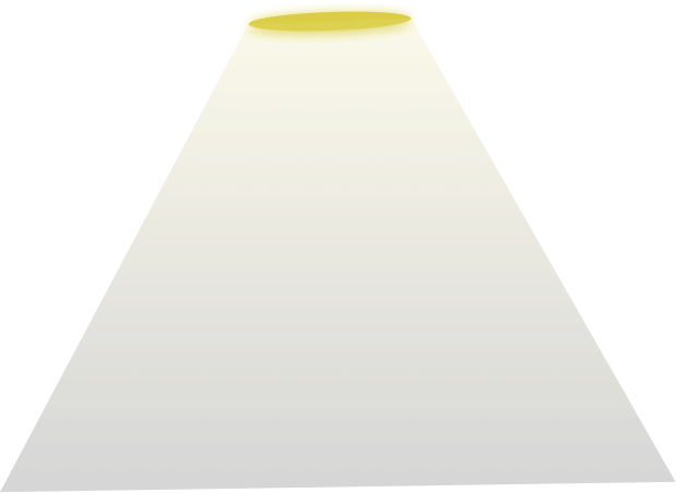 Lumière sur le CV